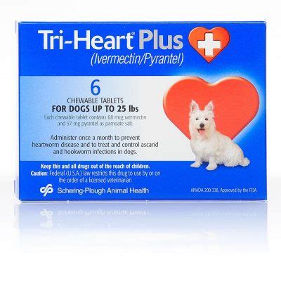 The Best Heartworm Medicine (Top 5 Choices for 2019)