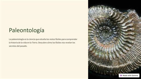 Paleontolog A Fantastico Mundo De Memo Y Lola Udocz