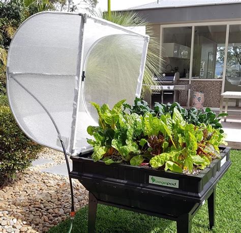 Vegepod Raised Garden Beds Watering Raised Garden Beds Raised Garden