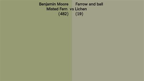 Benjamin Moore Misted Fern 482 Vs Farrow And Ball Lichen 19 Side By