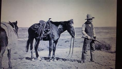 Old Time Cowboy Old West Saloon Old West Animals