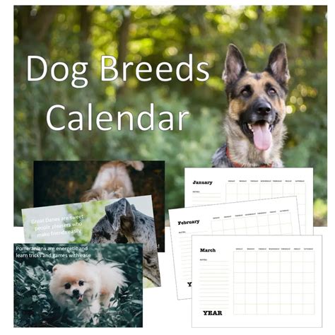 Dog Breeds Calendar PLR