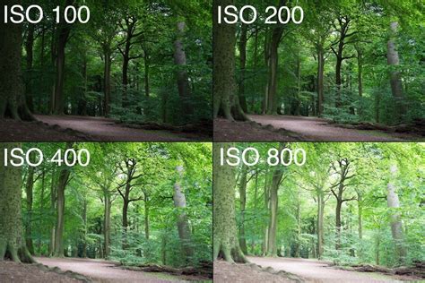 Getting Out Of Auto Understanding Iso On Your Digital Camera Iso