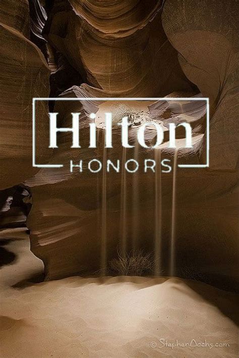 Hilton HONORS icon in 2022 | Honor, Icon, Hilton