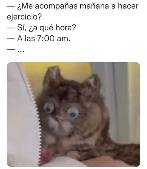 Pin De Sara⚘ En Memes🤭 Chistes Para Reir Mensajes Divertidos Memes