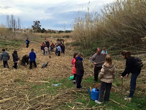 Riba Roja Aconsegueix Els 4 191 Arbres Plantats En Quatre Anys