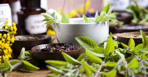 10 Medicinal Plants And Herbs You Should Know Goodnet