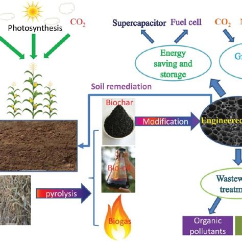 Engineered Biochar For Environmental Sustainability Download Scientific Diagram