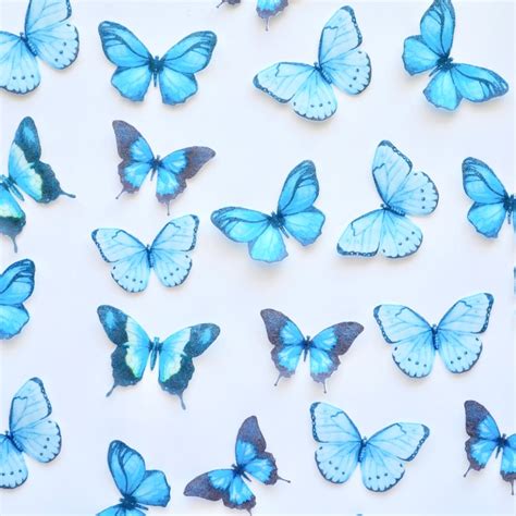 Edible Pre Cut Wafer Butterfly Dark Blue Etsy