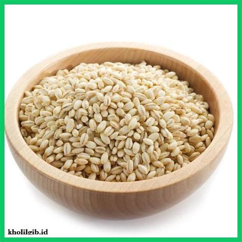 Jual Makanan Kering Natural Pearl Barley Biji Jali Jali Kg Aneka