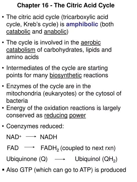 Ppt Chapter The Citric Acid Cycle Powerpoint Presentation Free