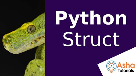 Python C Struct The 9 New Answer Brandiscrafts