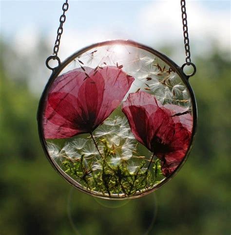 Dried Real Poppy Pressed Flower Frame Terrarium Decor Hanging Terrarium