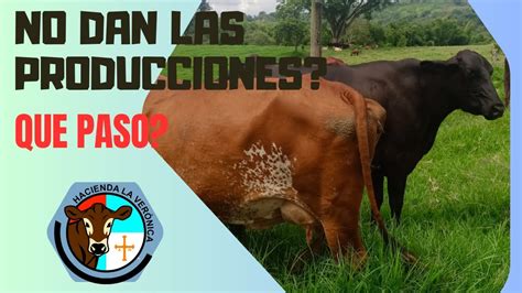 QUE PASO CON ESTAS VACAS NO DAN LAS PRODUCCIONES PROMETIDAS