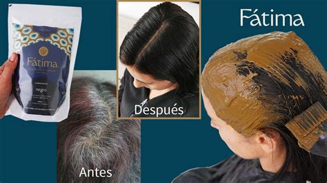 Lecho Permanente Temblar Componentes De La Henna Para El Cabello Es