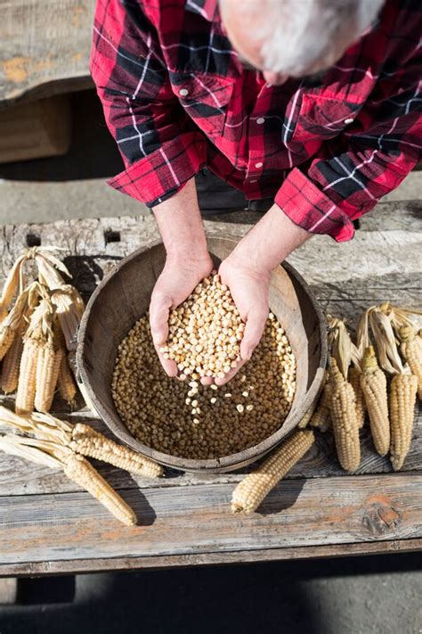 Sepp Brandstätter and his native Gailtal Valley white maize