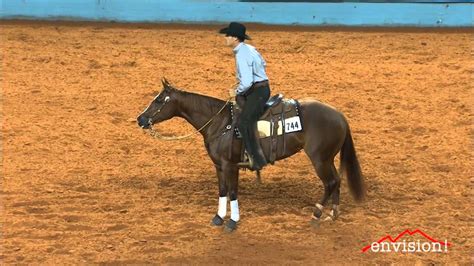 Bloom Shine Senior Working Cow Horse Youtube