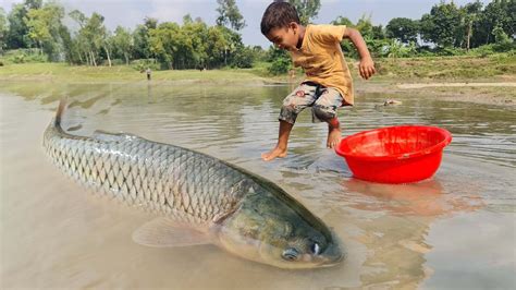 Amazing Boy Catching Fish By Hand Traditional Big Fish Catch By Hand