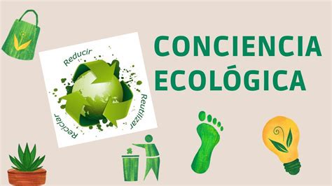 CONCIENCIA ECOLÓGICA Tienda Ecológica Online YouTube