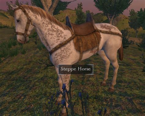 Steppe Horse | Mount and Blade Wiki | FANDOM powered by Wikia