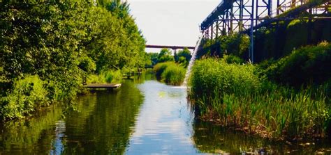 Pflanzen Im Landschafts Park Duisburg Nord