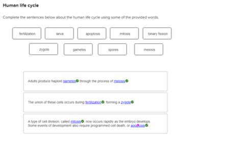 Biology Chapter 8 Hw Flashcards Quizlet