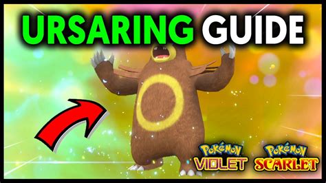 How To Get Ursaring On Pokemon Scarlet And Violet Youtube