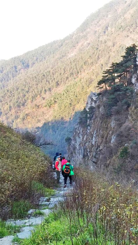 庐山穿越 手机摄影 颇可 穿越庐山 红山传人 黄石快乐群 风光作业打卡 世间手记 方寸之间感知世界 旅行之美 2020我和颇可在一起 我要上开屏 蒸汽态度 秋冬暖调 跟春天say嗨 Spc手机