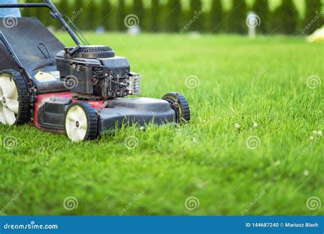 Lawn Mower Cutting Green Grass In Sunlight Stock Photo Image Of Care