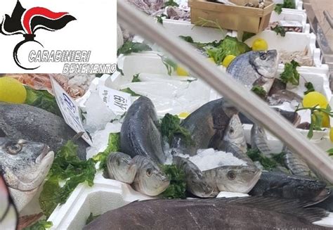 Controlli Nelle Pescherie Del Fortore Sequestrati 200 Kg Di Pesce