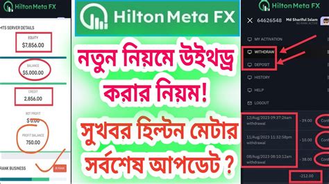 Hilton Meta Fx Today Update News Withdrawal Again Come