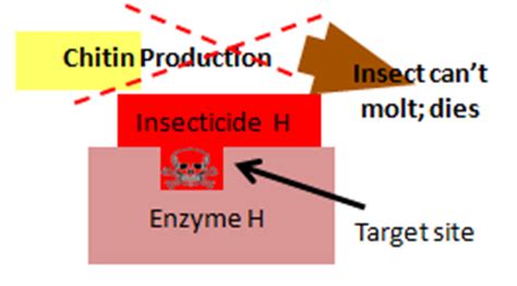 Insecticide Resistance Mechanisms Pesticide Environmental Stewardship