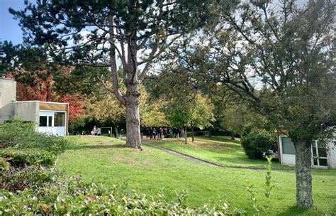 Parthenay transformer les cours d écoles en oasis