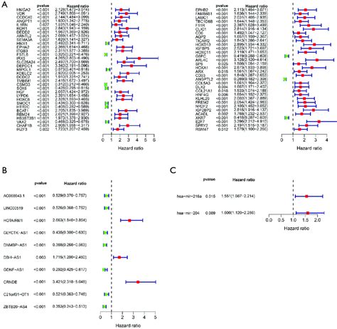 Prognosis Related Genes Mrnas A Lncrnas B And Mirnas C