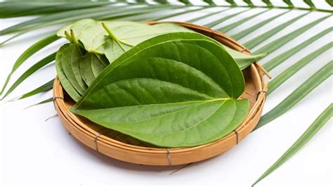 What Is Betel Leaf Nutritional Value