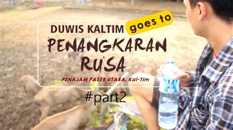 Penangkaran Rusa Pantai Tanjung Jumlai P Duwis Kaltim Tour Vlog