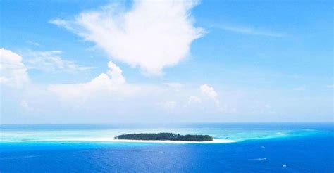 Prison Island Tour, Snorkeling, Nakupenda Beach, Sandbank | GetYourGuide