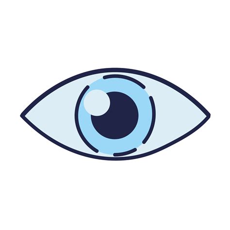 Human Eye Observation 4057923 Vector Art At Vecteezy