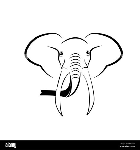 Imagen Vectorial De Una Cabeza De Elefante Ilustraci N Mascota De