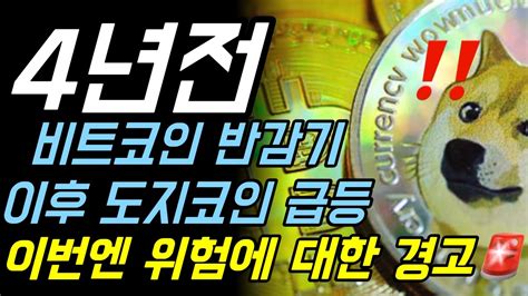 🚨도지코인 위험에 대한 경고 발령🚨 Youtube