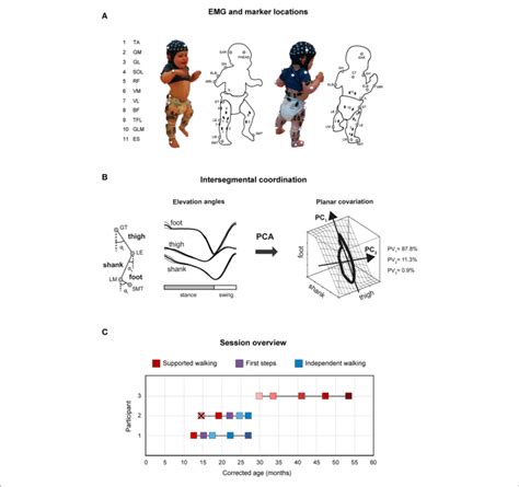 Experimental Setup And Gait Analysis Session Overview A Marker