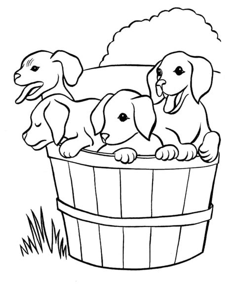 Desenhos De Cachorrinho Para Colorir Pintar E Imprimir Colorironlinecom