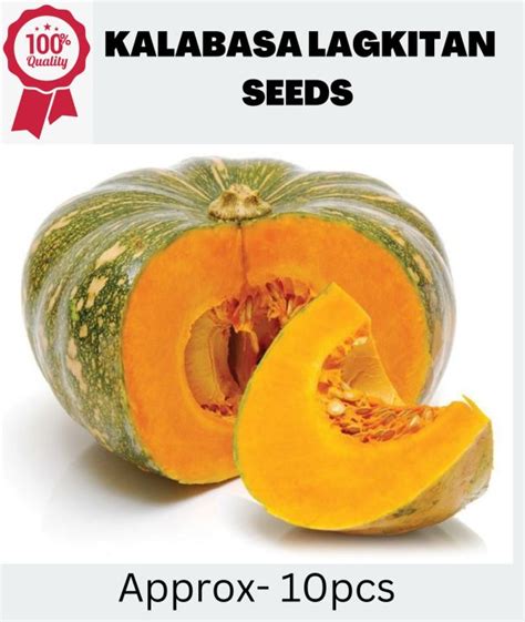 Kalabasa Squash Seeds 5 Seeds 1pack Lazada PH