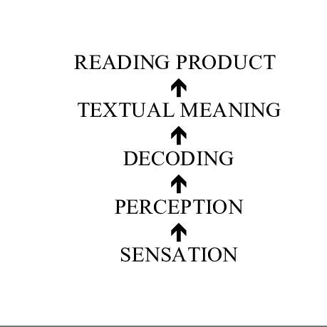 The bottom-up approach to reading. | Download Scientific Diagram