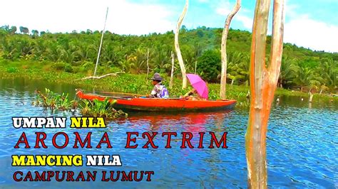 Campuran Lumut Aroma Extrim Untuk Mancing Nila Umpan Jitu Youtube