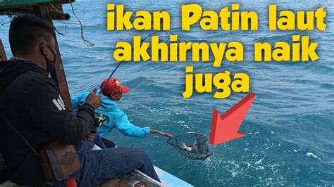 Mancing Di Pulau Damar Kepulauan Seribu Spot Kedua Youtube