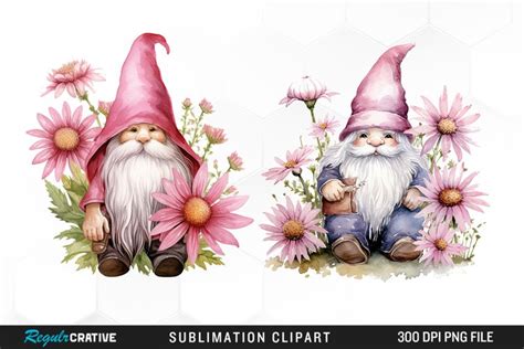 Daisy Pink Gnome Artwork