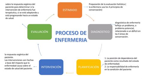 Expo Teoria De La Conservacion Myra Estrin Levine PPT