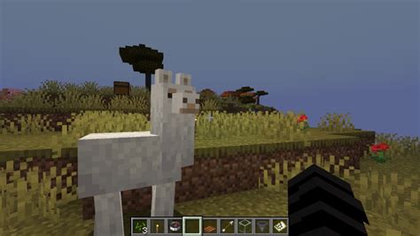 How To Ride A Llama In Minecraft Diamondlobby