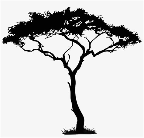 Acacia Tree Vector African Trees PNG Image Transparent PNG Free